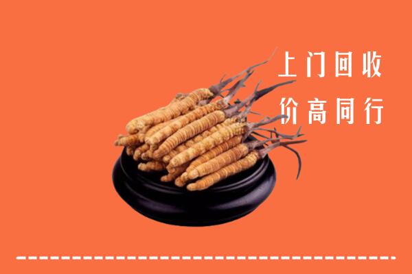 高价求购：重庆巫溪县回收散虫草