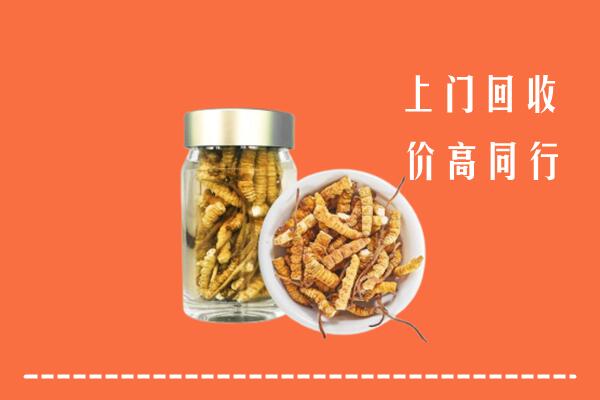 重庆巫溪县回收冬虫夏草