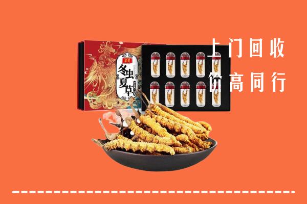 重庆巫溪县回收虫草